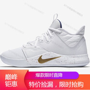 耐克（NIKE）男鞋保羅喬治3代運動實戰(zhàn)休閑籃球鞋海外直郵 AO2608-100 保羅喬治PG3 46