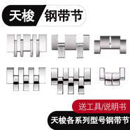 圖登適用天梭鋼表節帶 1853力洛克表節手表鋼帶 加長(cháng)節男庫圖鋼連接軸配件桿 T094天梭弗拉明戈鋼表節（女款）