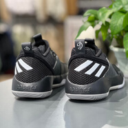 阿迪達(dá)斯（adidas）籃球鞋男鞋2025秋季新款場上實(shí)戰(zhàn)訓(xùn)練緩震耐磨運(yùn)動鞋 GY2439黑色利拉德 47 (290mm)