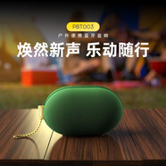 Allway PBT003便攜式藍牙音箱戶(hù)外重低音炮迷你小音響小型露營(yíng)野餐防水音箱HIFi音效騎行掛車(chē)音響 PBT003綠色便攜藍牙音箱