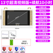 金正（NINTAUS）新款多功能看戲收音機老年人專用唱片廣場舞播放器聽戲插卡插u盤大屏幕跳舞健身一體機 13寸超清視頻版+32G視頻U盤 官方標配
