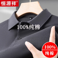 恒源祥純棉短袖T恤男士2025夏季polo.衫翻領(lǐng)純色寬松休閑中年體恤上衣男 M89605短 袖灰色|純棉100%品牌旗艦款 2XL 180 建議150-165斤 高檔品牌男裝