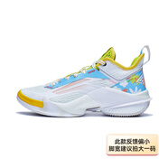 李寧籃球鞋男鞋馭帥14TD減震運(yùn)動(dòng)鞋籃球場(chǎng)地鞋 標(biāo)準(zhǔn)白 （空襲10） 43