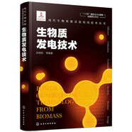 現代生物質(zhì)能高效利用技術(shù)叢書(shū)：生物質(zhì)發(fā)電技術(shù)（精裝）