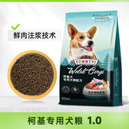 威爾遜饞嘴狗糧柯基犬專用狗糧中小型犬狗糧牛肉味天然糧 【經(jīng)典款】混合鮮肉味 幼犬10斤