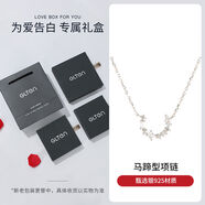 GLTENGLTEN925銀馬蹄型項(xiàng)鏈小眾設(shè)計(jì)高顏值百搭款送閨蜜送女朋友 馬蹄型鏈+品牌禮盒