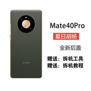 準岸適用華為mate40后蓋玻璃mate40pro后殼mate4 mate40pro[夏日胡楊] 純原后