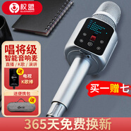 權(quán)盟 炫聲麥R2pro話筒音響一體手機(jī)麥克風(fēng)無(wú)線藍(lán)牙家用全民電視k歌電腦直播車載唱歌錄音聲卡設(shè)備套裝 炫聲麥標(biāo)準(zhǔn)版+電視k歌棒