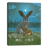 再見小兔子(精)