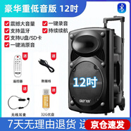 先科廣場(chǎng)舞音響專(zhuān)業(yè)戶(hù)外k歌音箱帶話(huà)筒家用拉桿藍牙手拉麥克風(fēng) 12吋+單耳麥+U盤(pán)