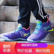 耐克（NIKE）男鞋 PG2 PG2.5 保羅喬治2代 運(yùn)動鞋實(shí)戰(zhàn)籃球鞋戰(zhàn)靴 AO2984-003 AO2985-001 泡椒 紫色 40.5