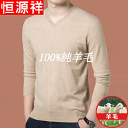 恒源祥純羊毛絨衫純羊毛毛衫男士V 領(lǐng)薄 款打底衫秋冬季中年毛衣雞心領(lǐng) 21129V 領(lǐng)駝色 XL 175