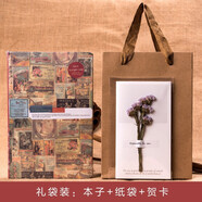 悅匯禮屋 古風(fēng)本子 A5歐式復(fù)古風(fēng)格彩頁(yè)筆記本加厚日記事手賬本創(chuàng)意牛皮紙 【禮袋裝】紅色封面（彩色插畫(huà)）