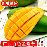 集南鮮 廣西金煌芒果 現摘大青皮黃皮熱帶甜心芒果新鮮時(shí)令生鮮時(shí)令水果 凈重9斤優(yōu)選大果  200g起