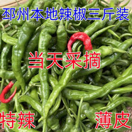 邳州山東棗莊農(nóng)家現(xiàn)摘新鮮小辣椒螺絲椒皺皮薄皮青紅當季特辣尖椒 本地辣椒 3斤
