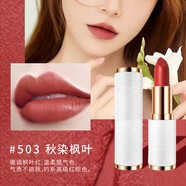 YZS口紅豆沙滋潤保濕不易掉色口紅小樣啞光霧面學(xué)生唇膏不沾杯禮物女 白管503#秋染楓葉