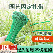 靚做樹枝綁帶園藝尼龍扎帶捆扎線綠植爬藤蔓植物花架捆綁帶花卉固定器 尼龍扎帶捆扎線20cm【100根裝】