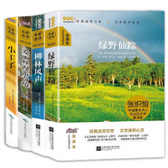 女孩成長的奇幻冒險 （全套4冊）完整版 小王子 愛麗絲漫游奇境 柳林風(fēng)聲 綠野仙蹤 小學(xué)生課外讀物