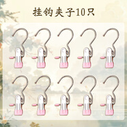 詠幻非遺漆扇專(zhuān)用桶非遺漆扇制作材料顏料diy擺攤工具專(zhuān)用扇子吸水的 掛鉤夾子10只