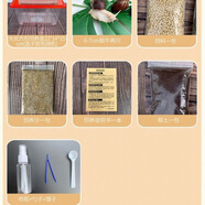 寵以沫（CHONG YIMO）蝸?；铙w寵物白玉蝸牛巨型美容蝸牛寵物活體蝸牛觀賞蝸牛教學(xué)蝸牛 大長方形新手套餐(送蝸牛)