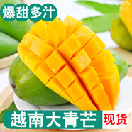 顏小葒越南大青芒果新鮮當季現摘特大整箱青皮水果芒果源頭直發(fā) 8斤精選大果（禮盒裝）