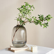 京東鮮花 透明玻璃花瓶高級感輕奢擺件客廳插花瓶水養雪柳馬醉木鮮花吊鐘