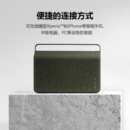 vifa 丹麥威法 Copenhagen哥本哈根 藍牙音箱2.0無(wú)線(xiàn)便攜式藍牙音箱低音炮免提電話(huà) 松綠色 Vifa 哥本哈根2.0