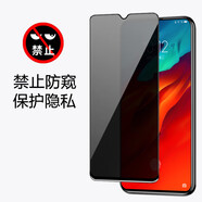 艾么么 適用qioo855版手機(jī)膜vivoY3鋼化膜vovoX23防偷窺貼膜z3/5/S6屏幕保護(hù)膜y7s防爆玻璃膜 Y11/Y15/Y17 2019/V1901A 防窺鋼化膜+高清鋼化膜