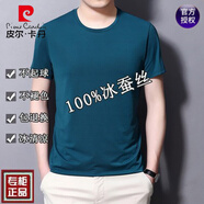 皮爾卡丹【5萬+已加購】男士短袖t恤桑蠶絲V領(lǐng)半袖夏季純色冰真絲體恤汗衫 圓款領(lǐng)綠色 XL 175建議140-160斤