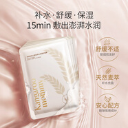 袋鼠媽媽小麥大套裝面部護膚品專用身體洗護口腔護理素顏霜化妝品囤貨裝 【京倉】小麥面膜5片