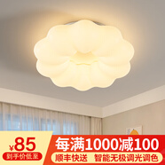 梵季（Fanji） 梵季網(wǎng)紅花朵臥室吸頂燈現(xiàn)代簡約主臥燈具溫馨浪漫男女孩兒童房 60W 20㎡內(nèi)適用 48000lm