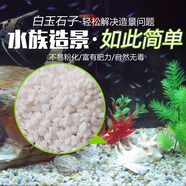 大匠神彩魚缸底砂魚缸造景雨花石沙石頭裝飾鋪底石鵝卵石溪流石雨林沙底沙 白玉石3-6mm500克