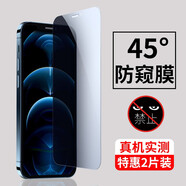 【2片裝】駱尊 適用蘋果12鋼化膜iPhone12Pro/max/12mini防窺全屏防爆手機(jī)貼膜 【蘋果12/12Pro】鉆石防窺膜保護(hù)隱私*2片裝