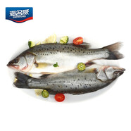 海名威 冷凍海鱸魚850g/2條裝 海魚 生鮮魚類 海鮮水產(chǎn) 