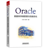 Oracle數(shù)據(jù)庫(kù)存儲(chǔ)管理與性能優(yōu)化