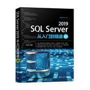 SQL Server 2019從入門(mén)到精通（視頻教學(xué)超值版）（數據庫技術(shù)叢書(shū)）