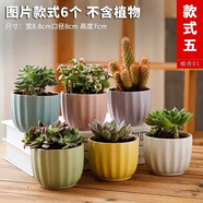 仟尚億多肉花盆個(gè)性桌面陽臺(tái)家用創(chuàng)意可愛肉肉植物粗陶透氣簡約多肉花盆 RY馬卡龍花瓣6個(gè) 中等