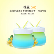 簡(jiǎn)非車(chē)載香水固體香膏汽車(chē)用品持久淡香氛車(chē)內(nèi)空氣清新劑除味香薰擺件 彩虹香膏-桂花2瓶
