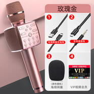 新科（Shinco）麥克風(fēng)三喇叭動(dòng)圈聲卡無(wú)線(xiàn)藍(lán)牙話(huà)筒音響一體9D 三喇叭【玫瑰金】