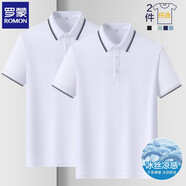羅蒙（ROMON）兩件裝短袖t恤男翻領(lǐng)夏季新款冰絲透氣polo領(lǐng)打底男士商務(wù)體恤衫 白色+白色 XL