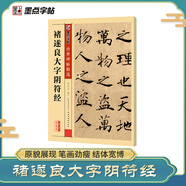 墨點(diǎn)字帖 唐褚遂良大字陰符經(jīng) 楷書臨摹毛筆書法字帖碑帖  傳世碑帖精選 繁體旁注 褚體書法基礎(chǔ)入門