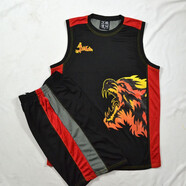 ITPLANNING籃球火羅志祥吳尊橫洲工業(yè)男女籃球服套裝籃球衣隊服霹靂烽火狼 黑色 M(165-170)