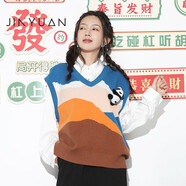 金苑V領(lǐng)針織衫女2022秋季新款寬松時(shí)尚撞色設(shè)計(jì)感無袖毛衣H223103 彩色 均碼