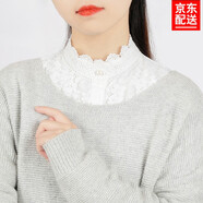 IFSONG美宋假領子女款高領蕾絲秋冬韓版襯衫百搭襯衣裝飾打底毛衣立領花邊領口 白色立領蕾絲JL053A 均碼 (建議80-130斤)