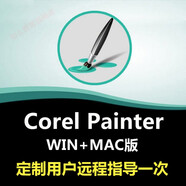 Corel Painter 軟件繪畫(huà)軟件遠程包安裝視頻自學(xué)教程 Corel Painter2020 遠程協(xié)助安裝