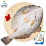 仙泉湖三去斑點(diǎn)尾鱸魚(yú)1斤單條凈膛后冷凍肉厚刺少 海鮮水產(chǎn)中秋生鮮食材