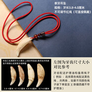 顧靜飛真狗牙吊墜狼牙吊墜男護身黑狗牙項鏈女狗牙齒護身符隨身掛件生日禮物 3.8 4厘米紅繩吊墜可直接佩戴