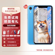 【白條免息】蘋(píng)果xr Apple iPhone XR 雙卡雙待 二手手機 全面屏 二手蘋(píng)果XR 蘋(píng)果xr 藍色 64G【贈配件套裝】8成新