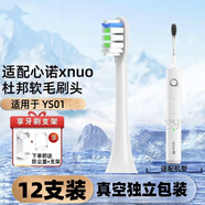 適配美國心諾xnuo電動牙刷頭A509/AX08通用牙刷刷頭替換頭YS01 適配YS01 白色清潔型12支裝