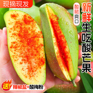 文枝青芒果生吃酸脆辣椒鹽水果新鮮當(dāng)季整箱嘢廣西甜心象牙水仙大青芒 3斤 大果嚴(yán)選裝商超品質(zhì)辣椒鹽酸梅粉